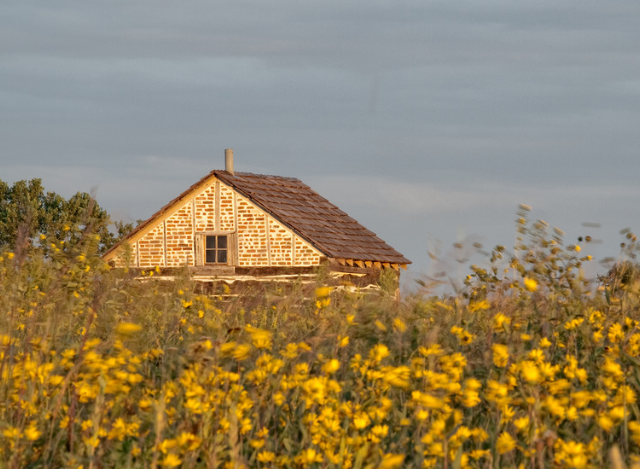 homestead act 1862